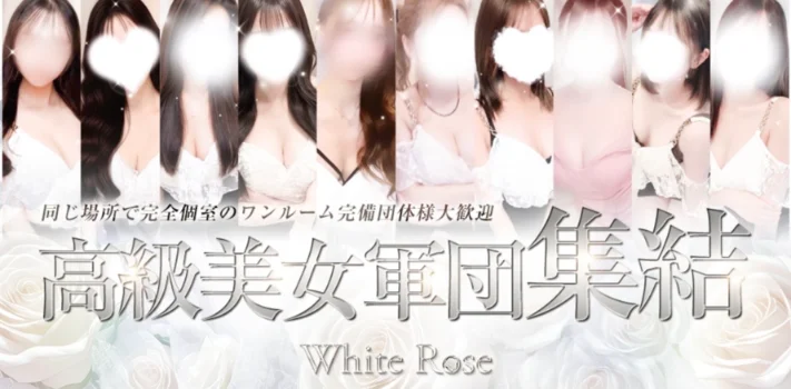 WHITE  ROSE岡山店