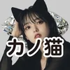 もしも彼女が黒猫だったら　The Diamond 大宮店