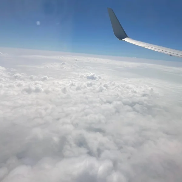 07-26~朝方ほほーいฅ•ﻌ•´ฅ