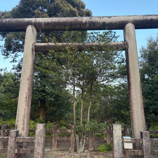 2026-06-25(木)