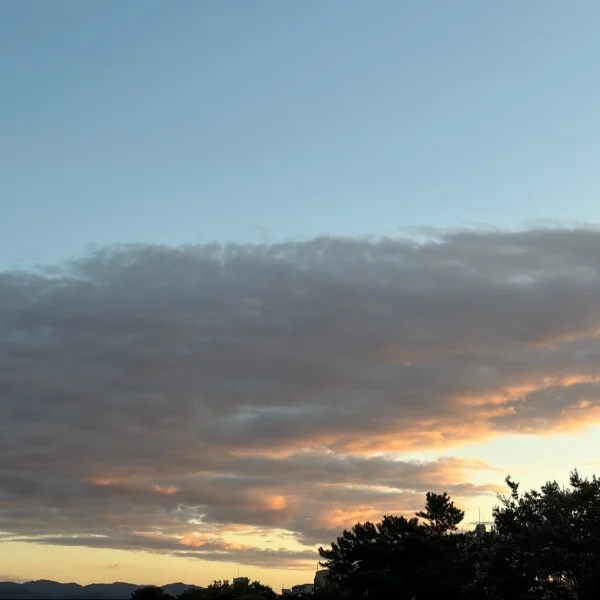 08/19の朝方