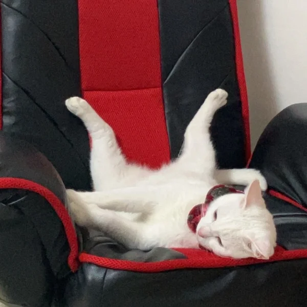 おはよぉー