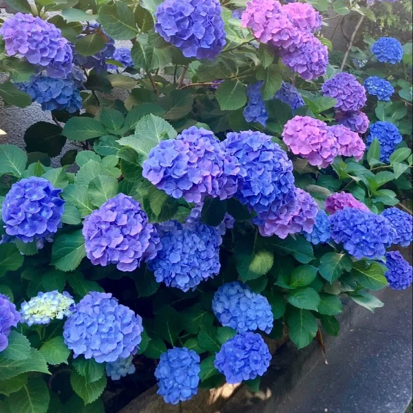 美しさと余裕♡