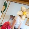 望月