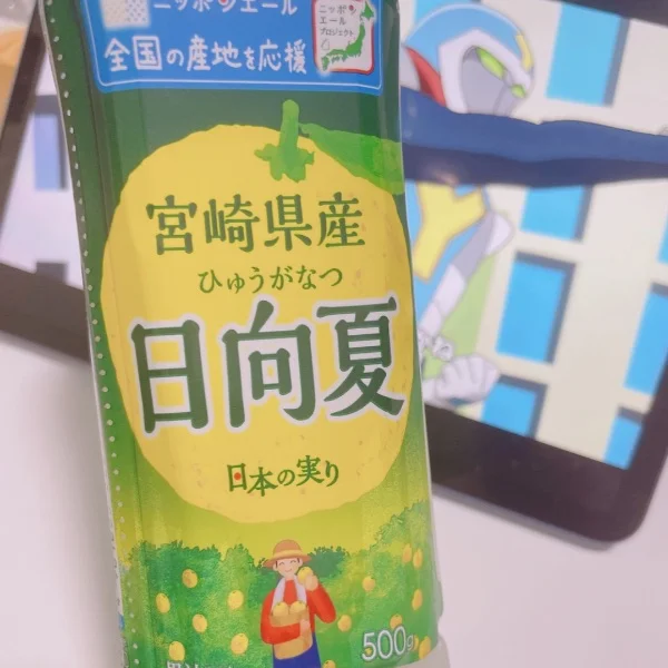 今日のお供は日向夏🍊⸒⸒