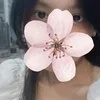 ローザ。ベトナム