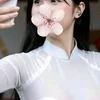 ヒマワリ。ベトナム
