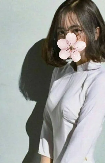 サクラ。ベトナム