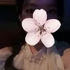 ローザ。ベトナム