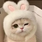 採用担当の井上さん