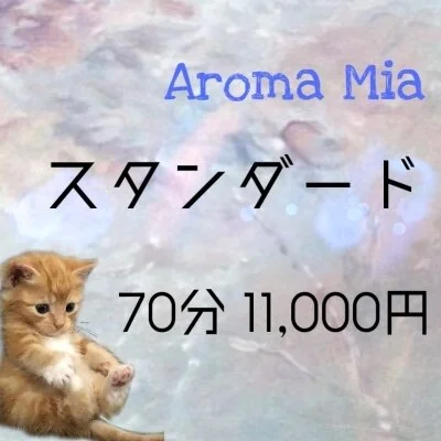 ７０分スタンダードコース