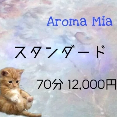 70分スタンダードコース 70分スタンダードコース