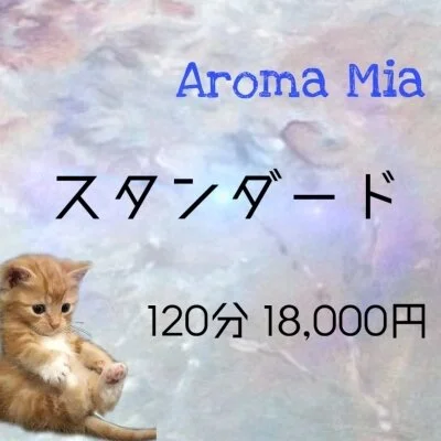 至高の１２０分スタンダードコース