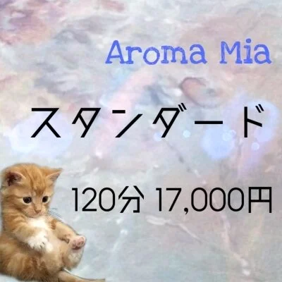 至高の１２０分スタンダードコース