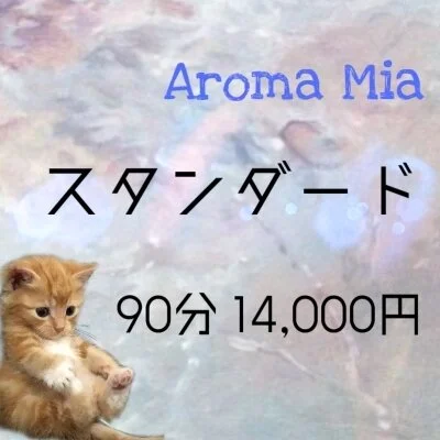 定番の90分スタンダードコース 定番の90分スタンダードコース