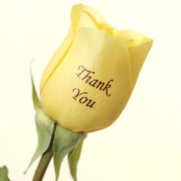 💌お礼💌
