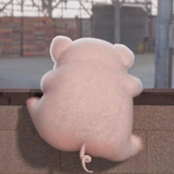 本日のお礼🌻