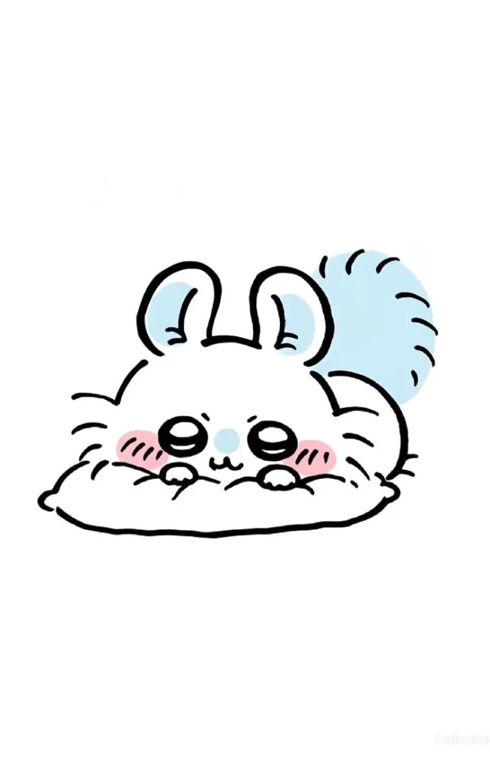 本日のお礼🩷
