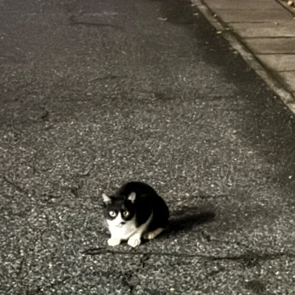 本日のお礼🧡