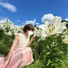 安座間みゆう