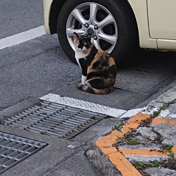 お隣のセラピスト様へ…✨