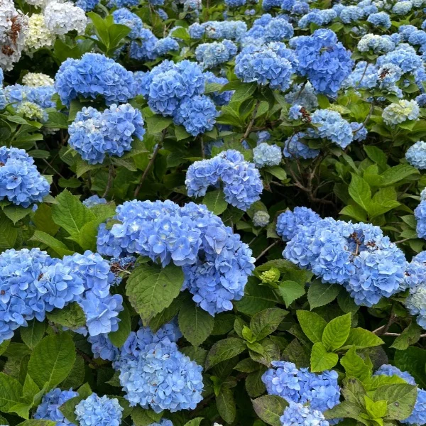 今週もありがとう☺️