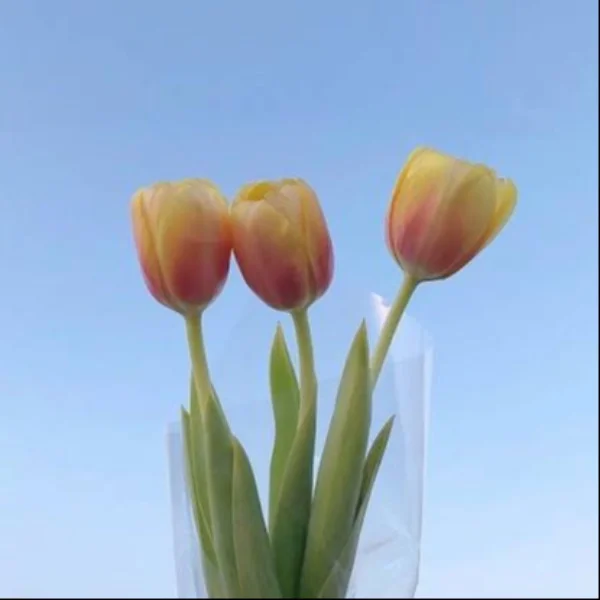 23時まで出勤してます🌸