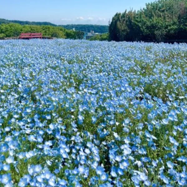 嬉しい再会と初めましてに感謝🌸