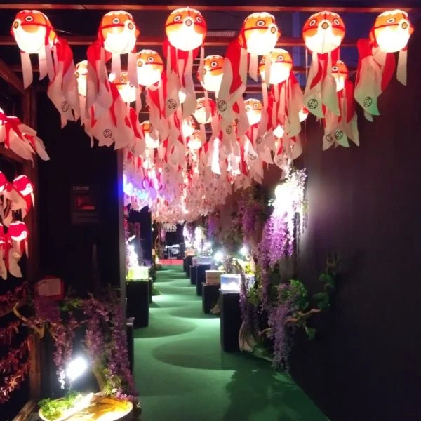 【24日〜出勤予定】