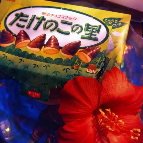 【お礼】T様へ たけのこの里