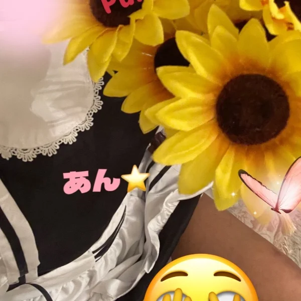 日曜日⭐️