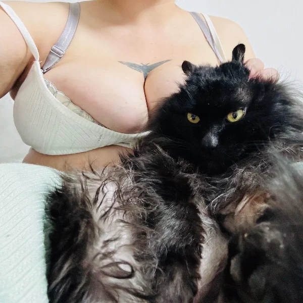 猫は黒猫がいちばんかわいい。犬も黒いほうがかわいい