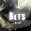 Bits