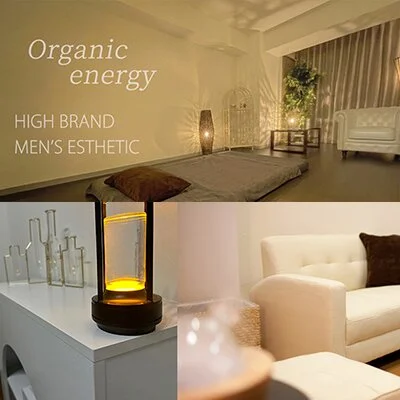 Organic energy （オーガニック エナジー）のメリットイメージ(1)