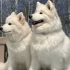 【セラピスト様　まだまだ募集中ですっ！】のサムネイル