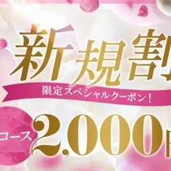 🌸11月3日(月) 出勤情報🌸