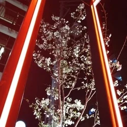 早く会いたいな♡