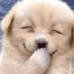 採用担当の坂本さん