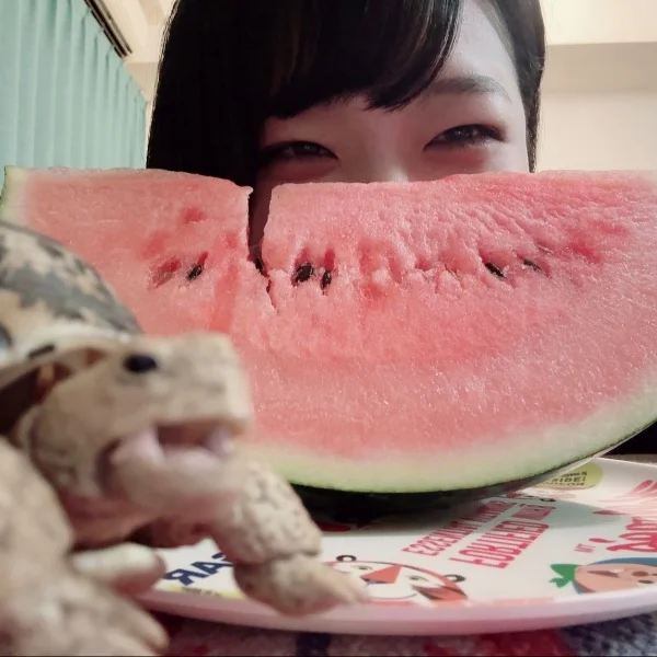 🍉🍉