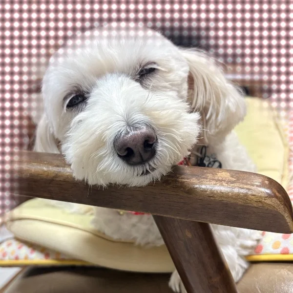 深夜の謎行動🌃