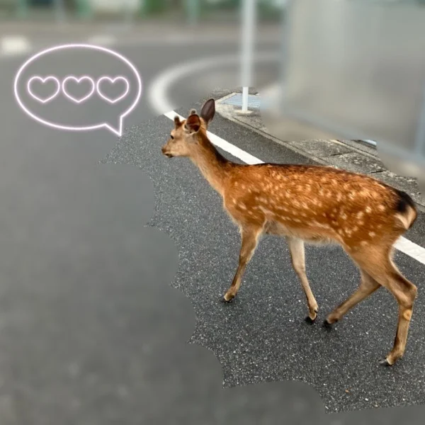 雨の音意外と好きなんだよ~