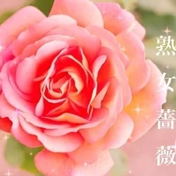 お店のコースその1