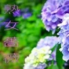 福山熟女薔薇