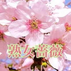 福山熟女薔薇