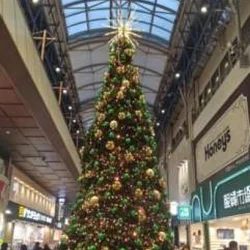 🎄 ᴍᴇʀʀʏ ᴄʜʀɪsᴛᴍᴀs 🎄...