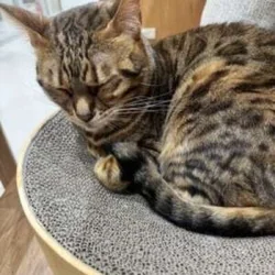 ありがとう🫶（佐々木あい）