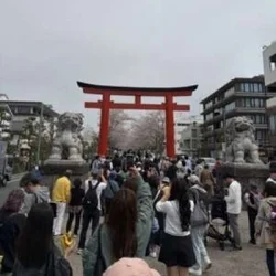 鎌倉⛩🌸（水野みき）