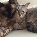 採用担当の星野洋平さん