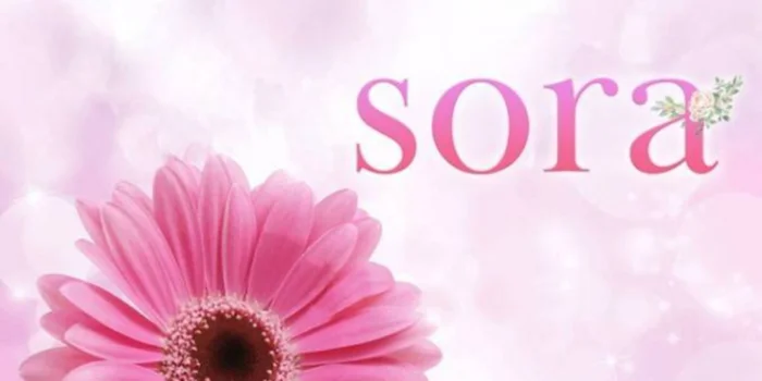 sora