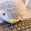 安心して働ける理由🌸当店の魅力5選🙆✨のサムネイル